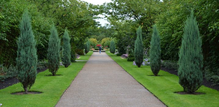 stockvault-walkway-in-regents-park182247